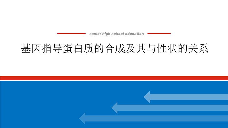 2023高考生物(统考版)复习课件 必修②第二单元3基因指导蛋白质的合成及其与性状的关系第1页