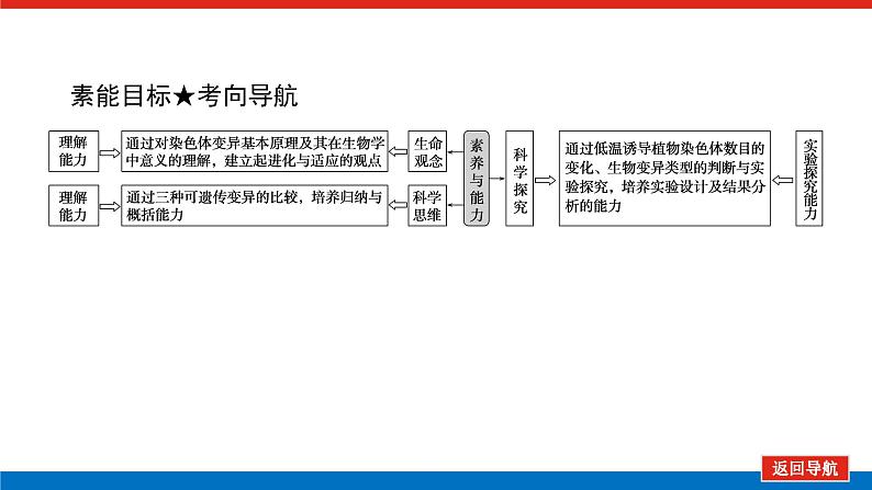 2023高考生物(统考版)复习课件 必修②第三单元2染色体变异与育种第4页