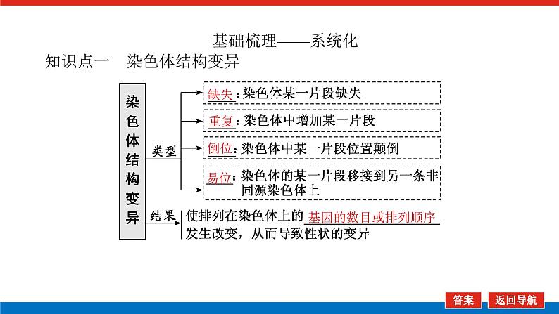 2023高考生物(统考版)复习课件 必修②第三单元2染色体变异与育种第5页