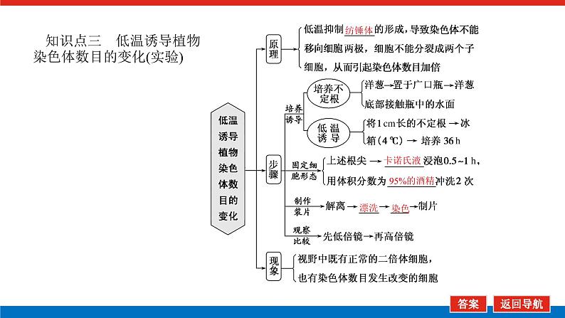 2023高考生物(统考版)复习课件 必修②第三单元2染色体变异与育种第7页