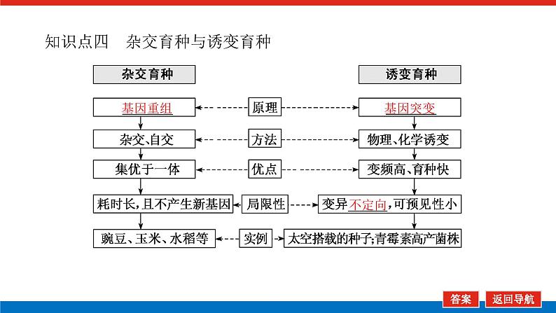 2023高考生物(统考版)复习课件 必修②第三单元2染色体变异与育种第8页