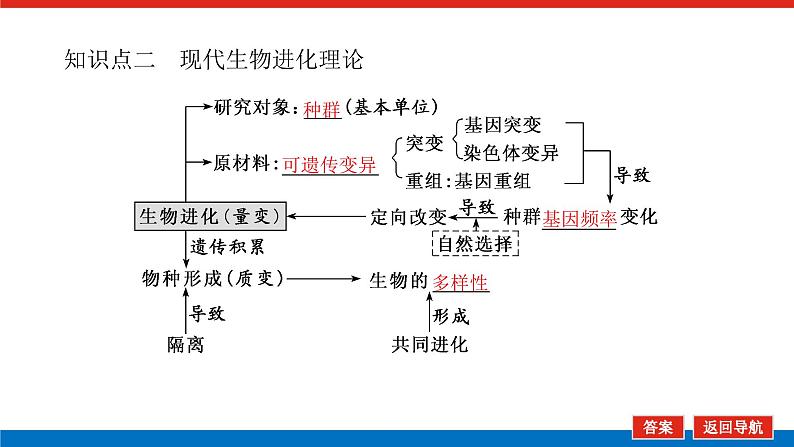 2023高考生物(统考版)复习课件 必修②第三单元4现代生物进化理论第6页