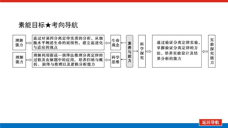 2023高考生物(统考版)复习课件 必修②第一单元1孟德尔的豌豆杂交实验(一)第4页