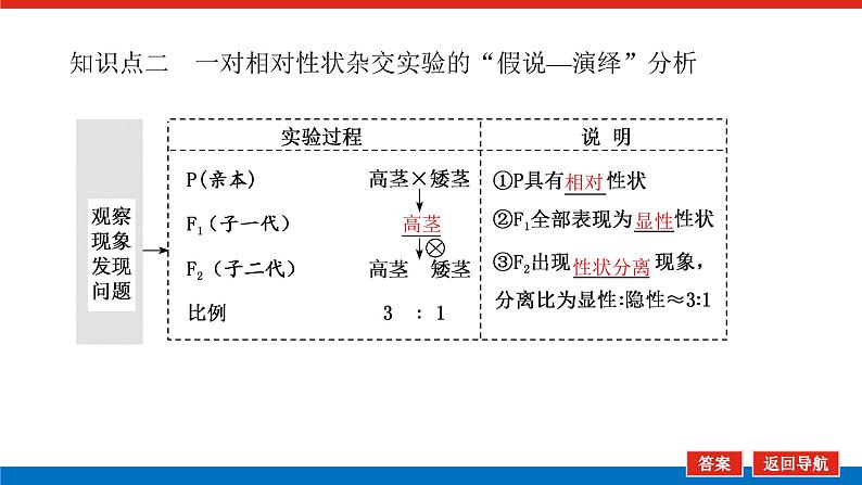 2023高考生物(统考版)复习课件 必修②第一单元1孟德尔的豌豆杂交实验(一)第8页