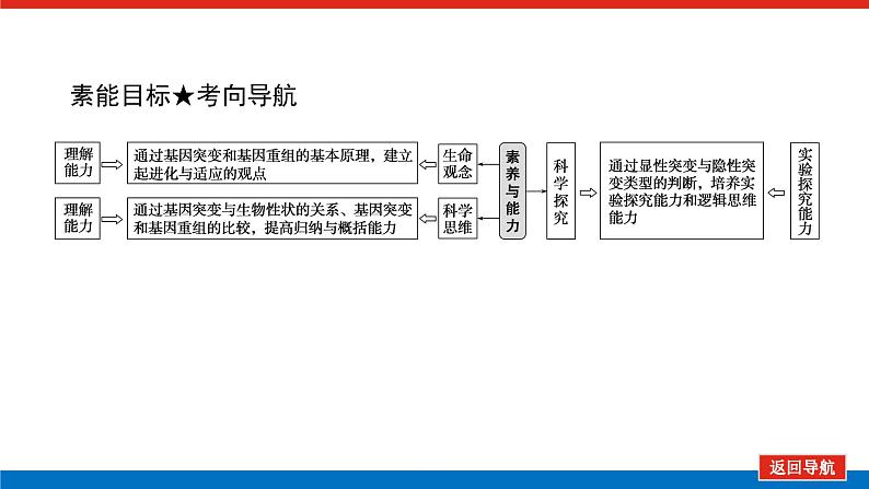 2023高考生物(统考版)复习课件 必修②第三单元1基因突变与基因重组第4页