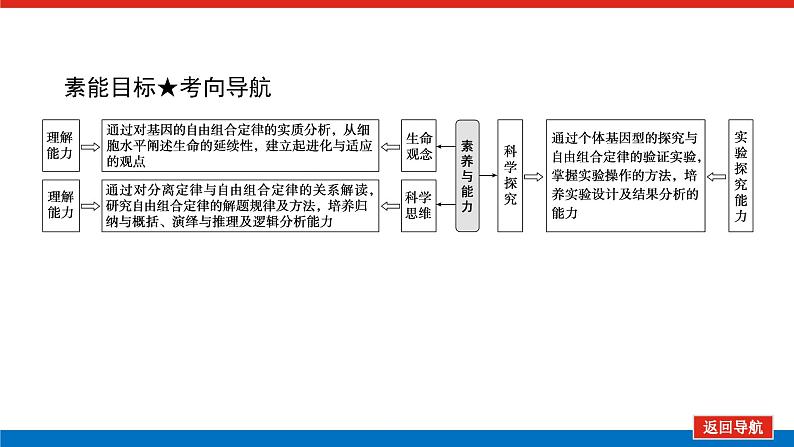 2023高考生物(统考版)复习课件 必修②第一单元2孟德尔的豌豆杂交实验(二)第4页