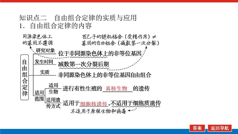 2023高考生物(统考版)复习课件 必修②第一单元2孟德尔的豌豆杂交实验(二)第8页