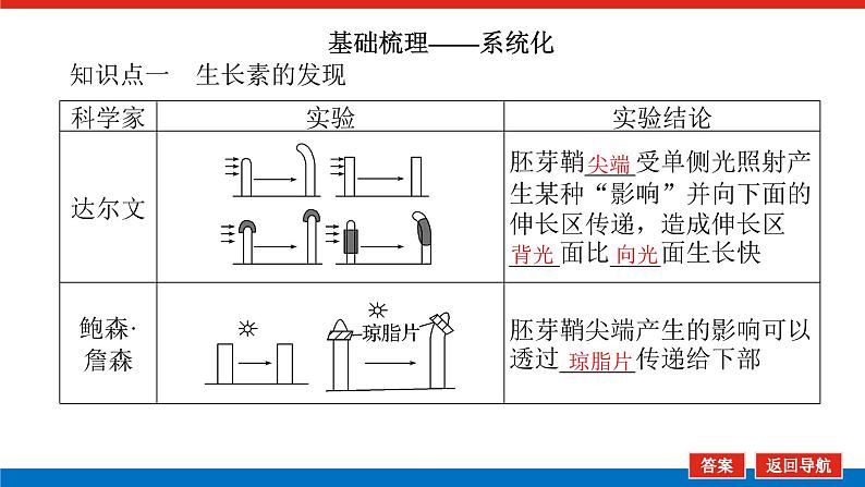 2023高考生物(统考版)复习课件 必修③第二单元植物的激素调节第5页