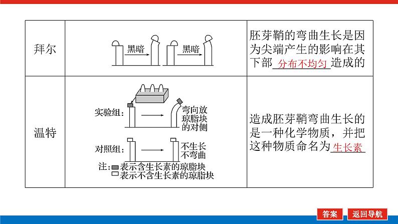 2023高考生物(统考版)复习课件 必修③第二单元植物的激素调节第6页