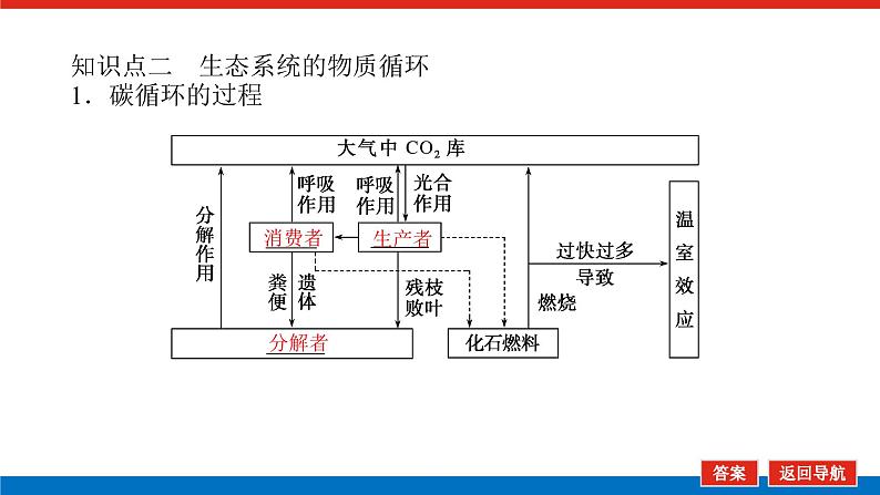 2023高考生物(统考版)复习课件 必修③第四单元2生态系统的功能第7页