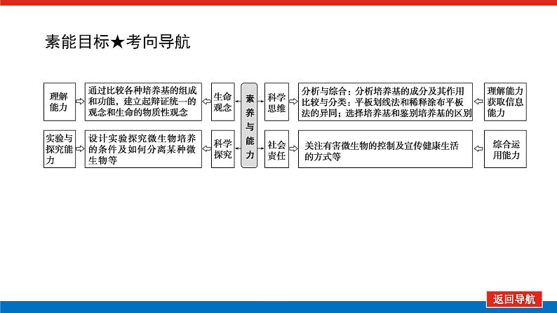 2023高考生物(统考版)复习课件 选修1-1微生物的培养和利用第4页