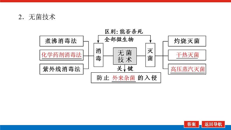 2023高考生物(统考版)复习课件 选修1-1微生物的培养和利用第6页