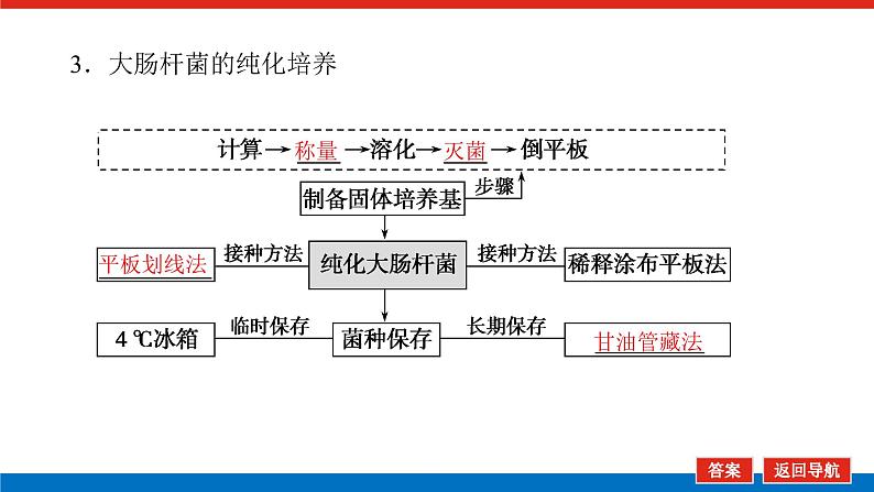 2023高考生物(统考版)复习课件 选修1-1微生物的培养和利用第7页