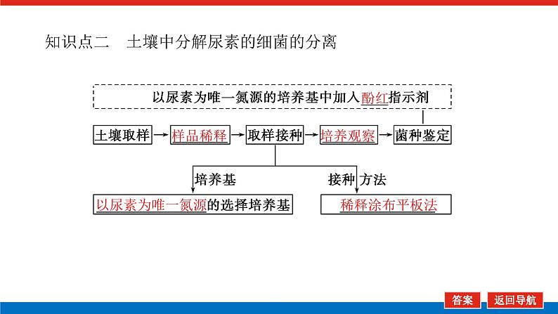 2023高考生物(统考版)复习课件 选修1-1微生物的培养和利用第8页