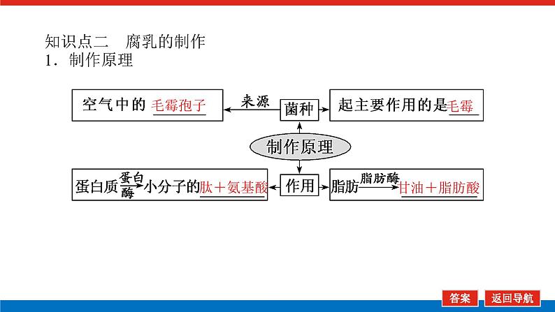 2023高考生物(统考版)复习课件 选修1-2传统发酵技术的应用第7页