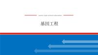 2023高考生物(统考版)复习课件 选修3-1基因工程