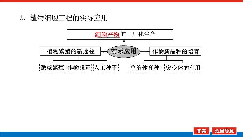 2023高考生物(统考版)复习课件 选修3-2细胞工程第6页