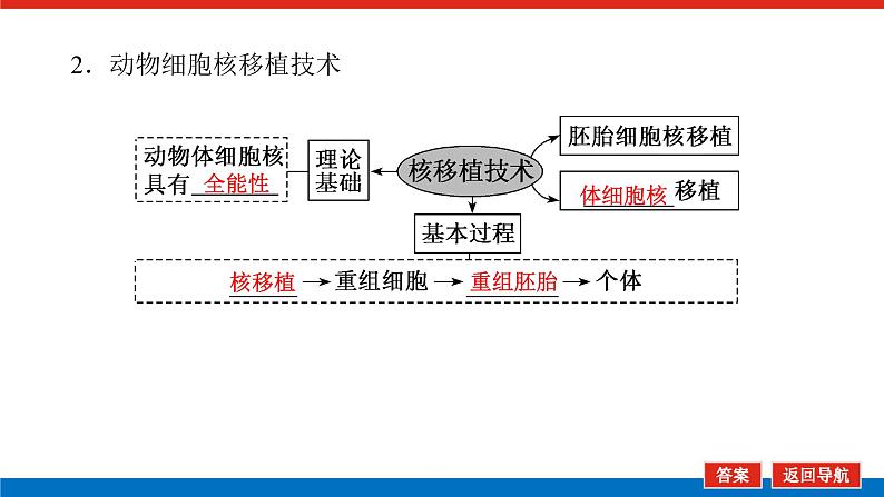 2023高考生物(统考版)复习课件 选修3-2细胞工程第8页