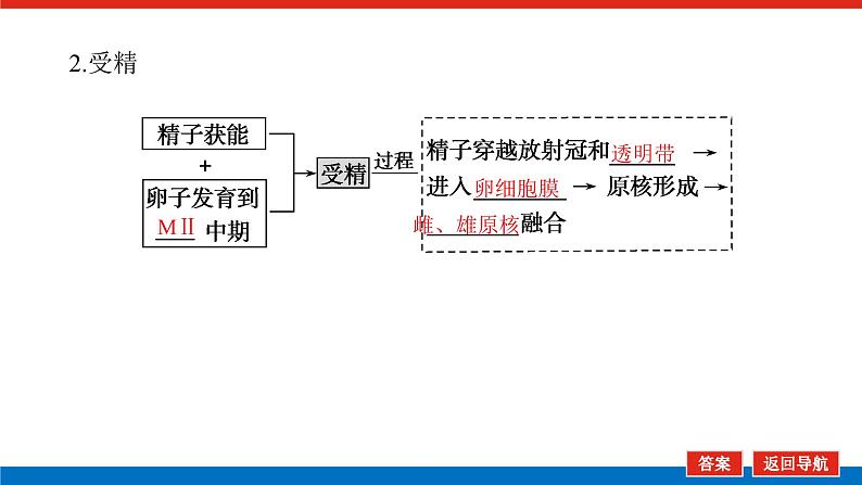 2023高考生物(统考版)复习课件 选修3-3胚胎工程第6页