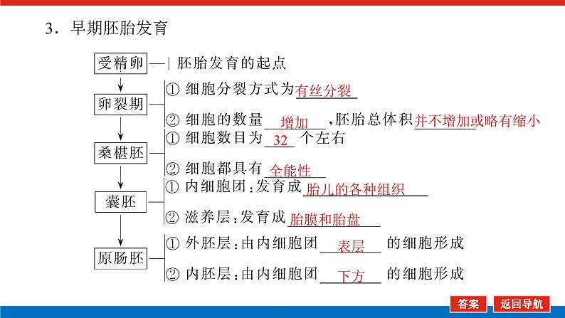 2023高考生物(统考版)复习课件 选修3-3胚胎工程第7页