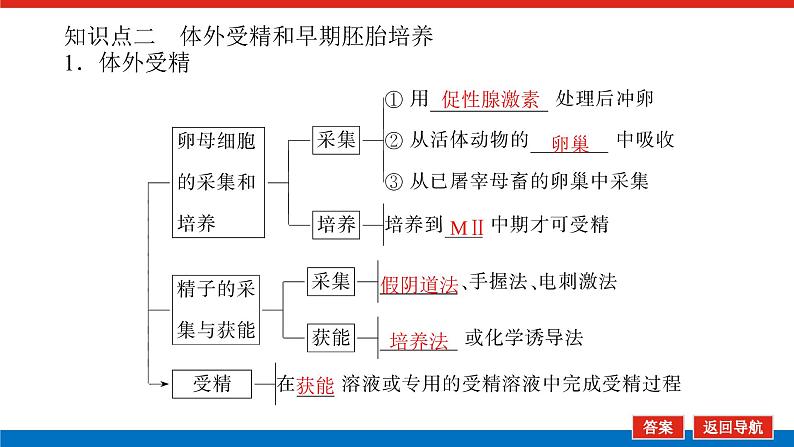 2023高考生物(统考版)复习课件 选修3-3胚胎工程第8页