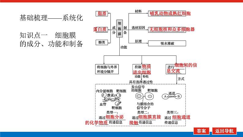 2023高考生物(统考版)复习课件 必修①第二单元1细胞膜与细胞核05