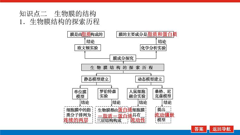 2023高考生物(统考版)复习课件 必修①第二单元1细胞膜与细胞核06