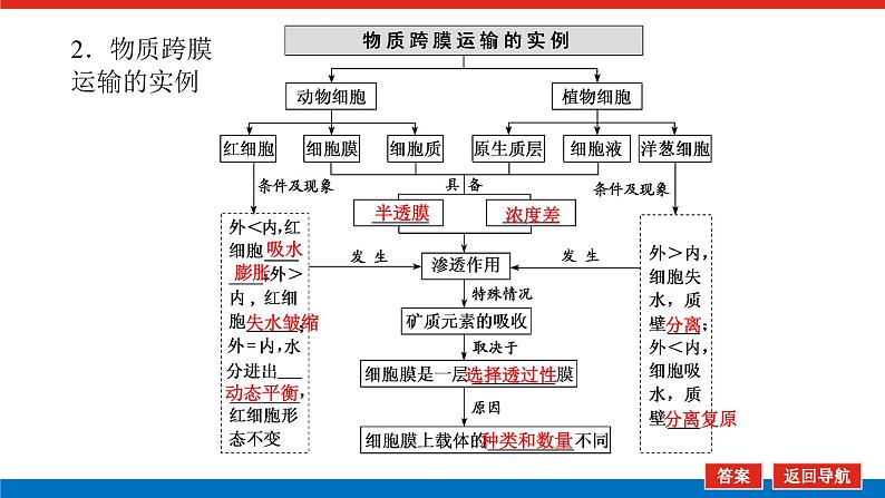 2023高考生物(统考版)复习课件 必修①第二单元3物质跨膜运输的实例与方式第6页