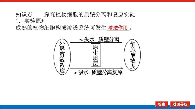 2023高考生物(统考版)复习课件 必修①第二单元3物质跨膜运输的实例与方式第7页