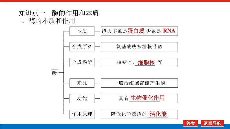 2023高考生物(统考版)复习课件 必修①第三单元1酶与ATP第5页