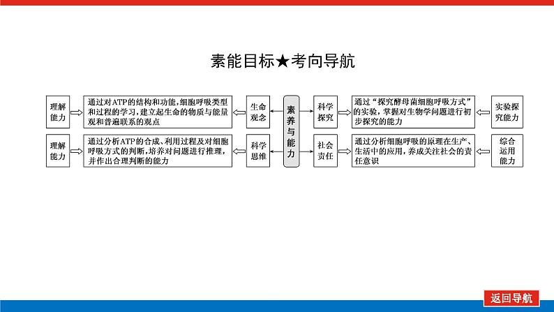 2023高考生物(统考版)复习课件 必修①第三单元2ATP的主要来源——细胞呼吸04