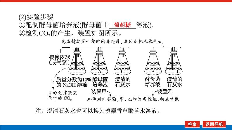 2023高考生物(统考版)复习课件 必修①第三单元2ATP的主要来源——细胞呼吸07