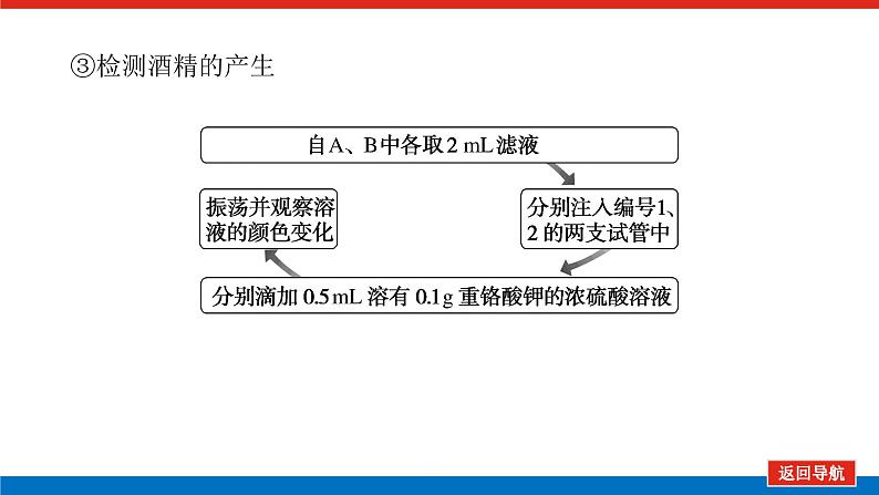 2023高考生物(统考版)复习课件 必修①第三单元2ATP的主要来源——细胞呼吸08