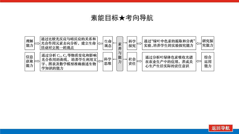 2023高考生物(统考版)复习课件 必修①第三单元3能量之源——光与光合作用第4页