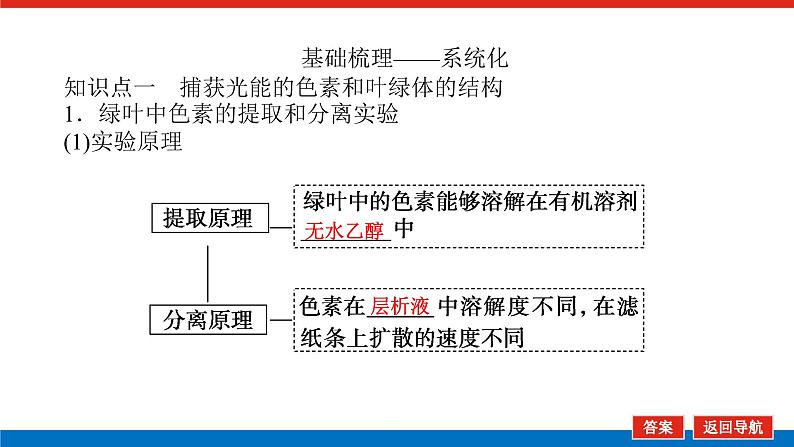 2023高考生物(统考版)复习课件 必修①第三单元3能量之源——光与光合作用第5页