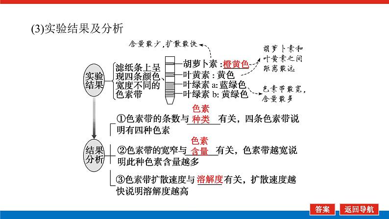 2023高考生物(统考版)复习课件 必修①第三单元3能量之源——光与光合作用第7页