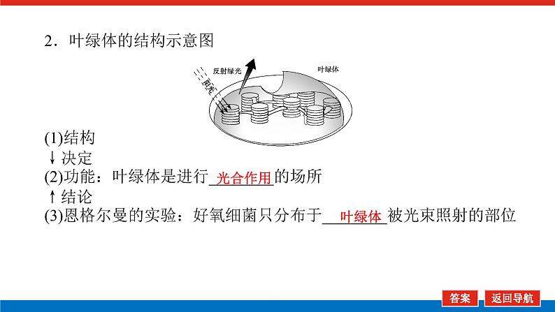 2023高考生物(统考版)复习课件 必修①第三单元3能量之源——光与光合作用第8页