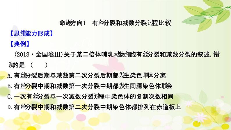 高中生物2022届新教材一轮复习人教版 核心素养微专题之科学思维（二）有丝分裂和减数分裂的关系 课件第2页