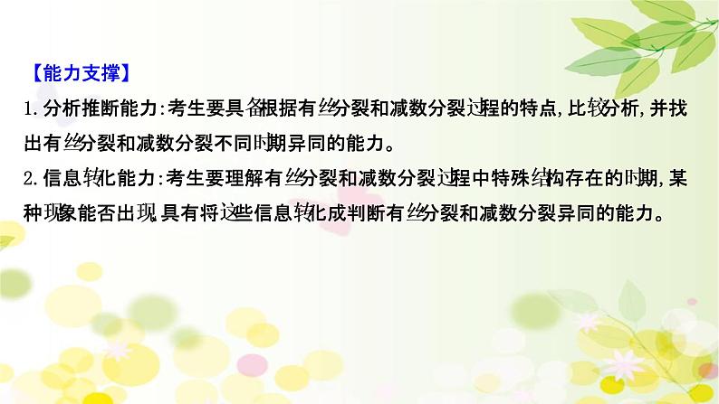 高中生物2022届新教材一轮复习人教版 核心素养微专题之科学思维（二）有丝分裂和减数分裂的关系 课件第3页