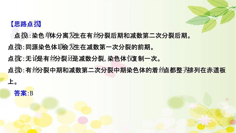 高中生物2022届新教材一轮复习人教版 核心素养微专题之科学思维（二）有丝分裂和减数分裂的关系 课件第4页