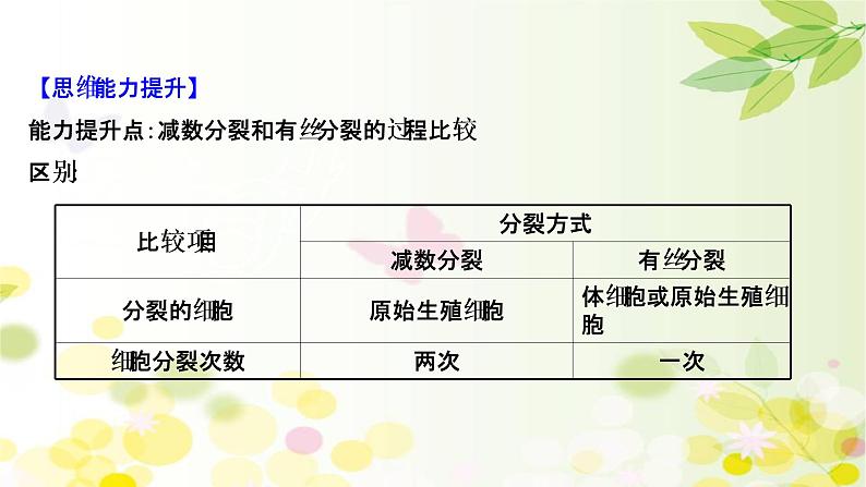 高中生物2022届新教材一轮复习人教版 核心素养微专题之科学思维（二）有丝分裂和减数分裂的关系 课件第5页