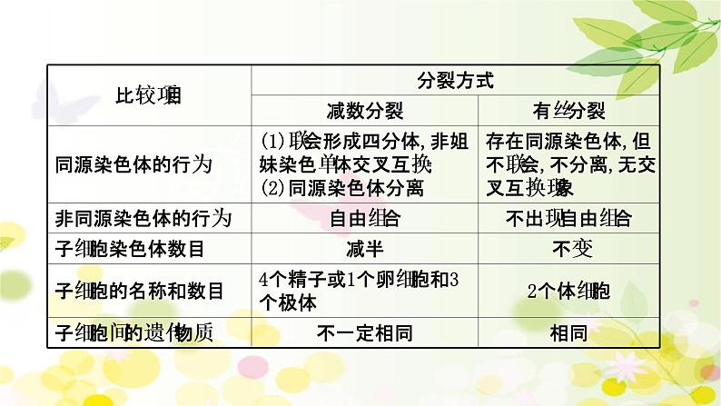 高中生物2022届新教材一轮复习人教版 核心素养微专题之科学思维（二）有丝分裂和减数分裂的关系 课件第6页