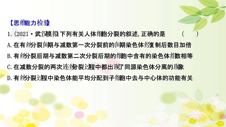 高中生物2022届新教材一轮复习人教版 核心素养微专题之科学思维（二）有丝分裂和减数分裂的关系 课件第8页