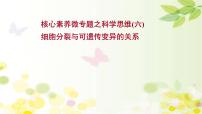 高中生物2022届新教材一轮复习人教版 核心素养微专题之科学思维（六）细胞分裂与可遗传变异的关系 课件