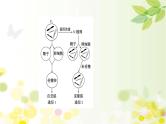 高中生物2022届新教材一轮复习人教版 核心素养微专题之科学思维（六）细胞分裂与可遗传变异的关系 课件