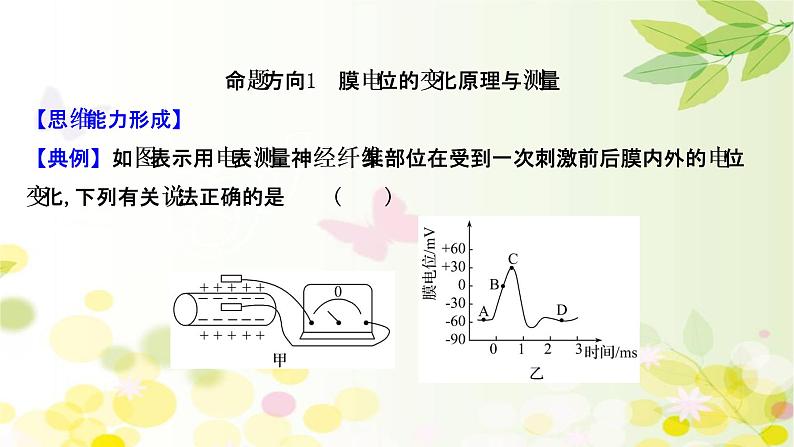 高中生物2022届新教材一轮复习人教版 核心素养微专题之科学思维（七）膜电位的测定 课件第2页