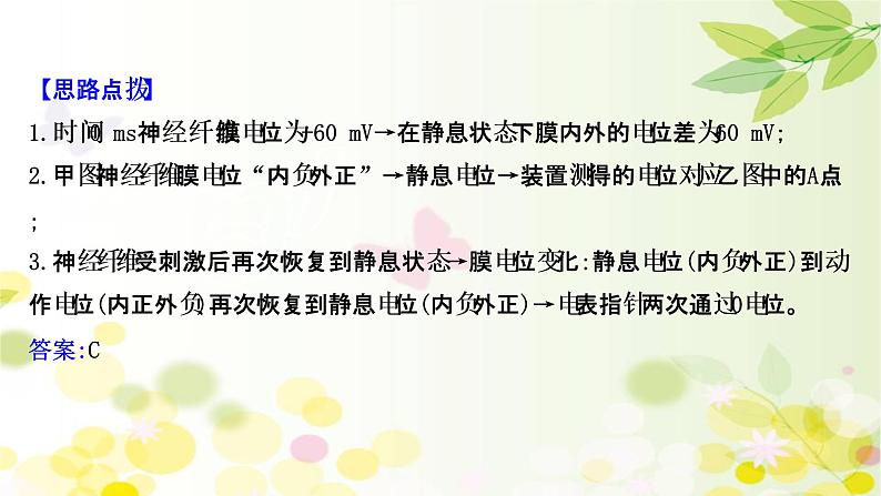 高中生物2022届新教材一轮复习人教版 核心素养微专题之科学思维（七）膜电位的测定 课件第6页
