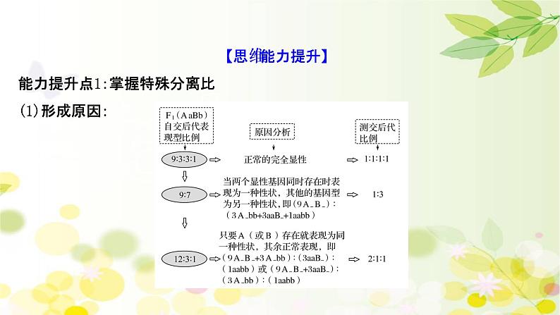 高中生物2022届新教材一轮复习人教版 核心素养微专题之科学思维（四）自由组合定律的遗传特例分析 课件第5页