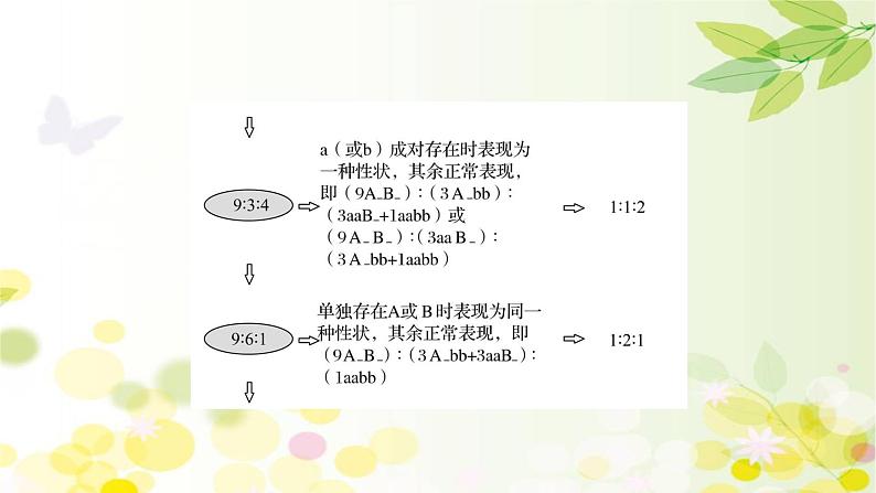 高中生物2022届新教材一轮复习人教版 核心素养微专题之科学思维（四）自由组合定律的遗传特例分析 课件第6页