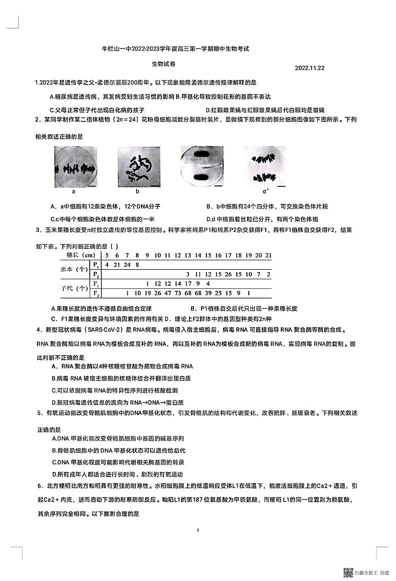 北京市顺义区牛栏山一中2022-2023学年高三上学期期中考试生物试题（无答案）第1页